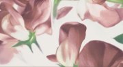 Настенное декоративное панно (1) Colour Carmine Bloom Цветы 593x327мм